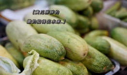 海宁吃瓜爆料公司电话,电话号码背后的秘密